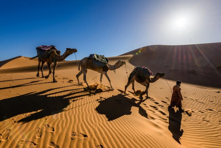 best time to visit morocco